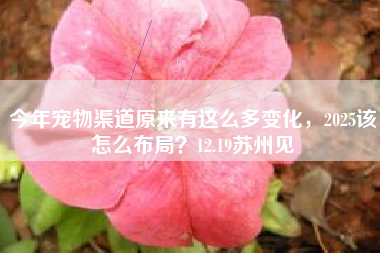 今年宠物渠道原来有这么多变化，2025该怎么布局？12.19苏州见