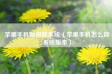 苹果手机如何降系统（苹果手机怎么降系统版本）