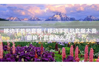 移动手机号套餐（移动手机号套餐太贵想换个套餐怎么办）