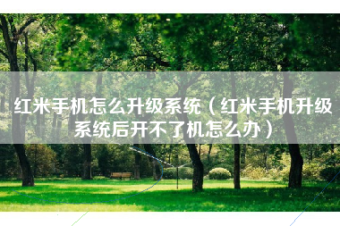 红米手机怎么升级系统（红米手机升级系统后开不了机怎么办）