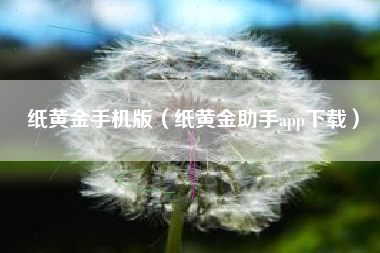 纸黄金手机版（纸黄金助手app下载）