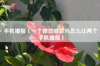 手机播报（一个微信收款码怎么让两个手机播报）