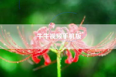 牛牛视频手机版