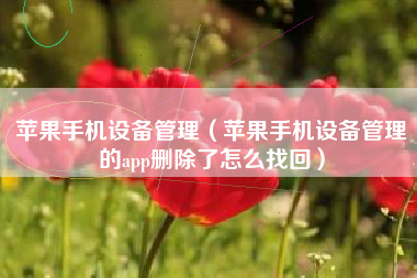 苹果手机设备管理（苹果手机设备管理的app删除了怎么找回）