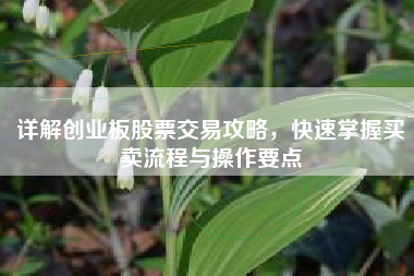 详解创业板股票交易攻略，快速掌握买卖流程与操作要点