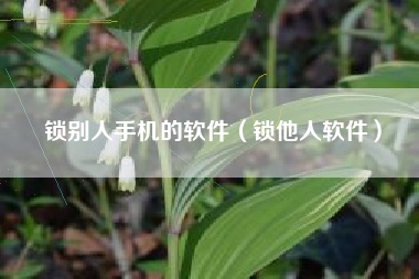 锁别人手机的软件（锁他人软件）