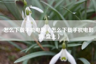 怎么下载手机电影（怎么下载手机电影到u盘上）