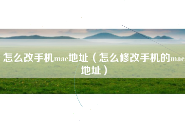 怎么改手机mac地址（怎么修改手机的mac地址）