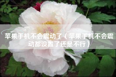 苹果手机不会震动了（苹果手机不会震动都设置了还是不行）