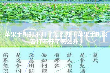 苹果手机打不开了怎么办（苹果手机设置打不开了怎么办）
