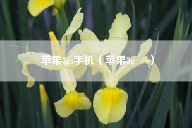 苹果3gs手机（苹果3g s）