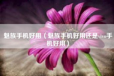 魅族手机好用（魅族手机好用还是vivo手机好用）