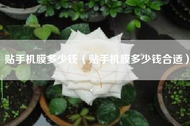 贴手机膜多少钱（贴手机膜多少钱合适）
