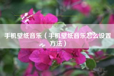 手机壁纸音乐（手机壁纸音乐怎么设置方法）