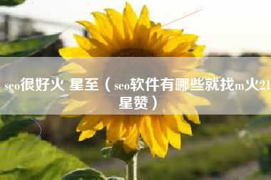 seo很好火 星至（seo软件有哪些就找m火21星赞）