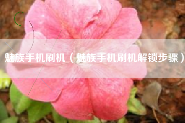 魅族手机刷机（魅族手机刷机解锁步骤）