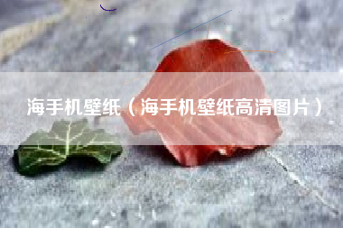 海手机壁纸（海手机壁纸高清图片）