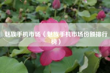 魅族手机市场（魅族手机市场份额排行榜）