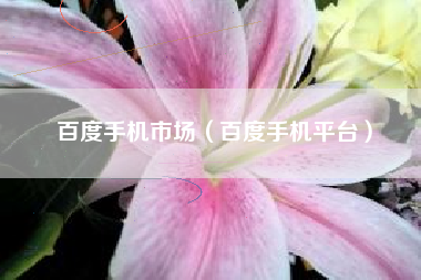 百度手机市场（百度手机平台）