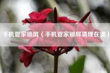 手机管家锁屏（手机管家锁屏清理在哪）