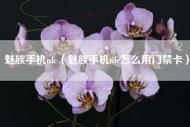 魅族手机nfc（魅族手机nfc怎么用门禁卡）