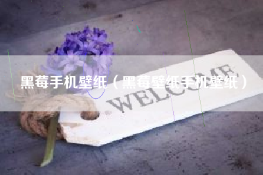 黑莓手机壁纸（黑莓壁纸手机壁纸）