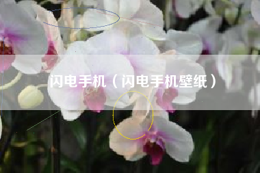 闪电手机（闪电手机壁纸）