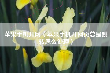 苹果手机开网（苹果手机开网页总是跳转怎么处理）