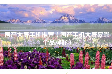 国产大屏手机推荐（国产手机大屏幕哪个品牌好）