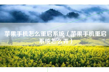 苹果手机怎么重启系统（苹果手机重启系统怎么弄）
