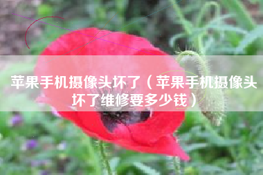 苹果手机摄像头坏了（苹果手机摄像头坏了维修要多少钱）