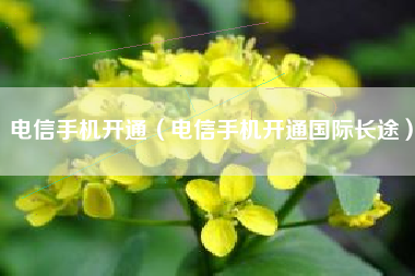 电信手机开通（电信手机开通国际长途）