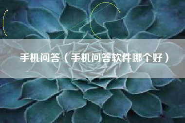 手机问答（手机问答软件哪个好）