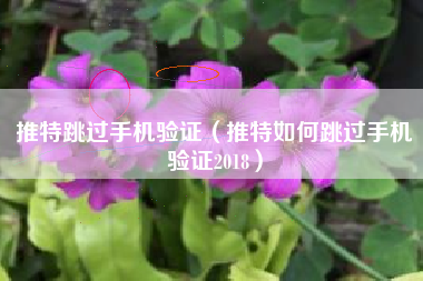 推特跳过手机验证（推特如何跳过手机验证2018）