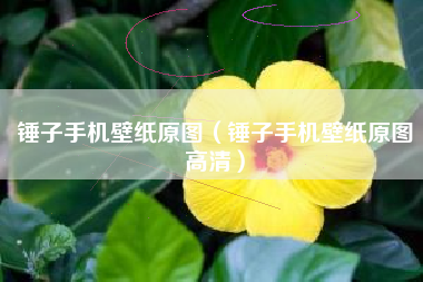 锤子手机壁纸原图（锤子手机壁纸原图高清）