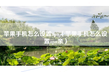 苹果手机怎么设置apn（苹果手机怎么设置apn亲）