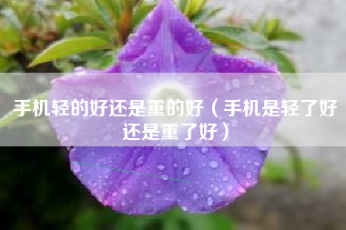 手机轻的好还是重的好（手机是轻了好还是重了好）