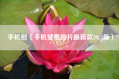 手机慰（手机壁纸图片最新款2024版）