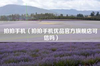 拍拍手机（拍拍手机优品官方旗舰店可信吗）