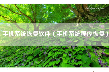 手机系统恢复软件（手机系统程序恢复）