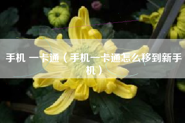 手机 一卡通（手机一卡通怎么移到新手机）