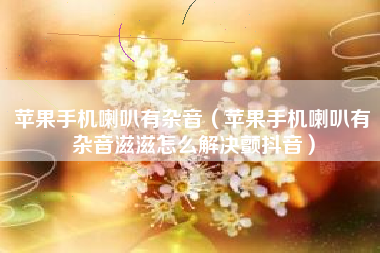 苹果手机喇叭有杂音（苹果手机喇叭有杂音滋滋怎么解决颤抖音）