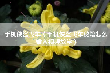 手机侠盗飞车（手机侠盗飞车秘籍怎么输入视频教学）