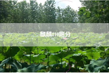 麒麟810跑分