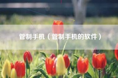 管制手机（管制手机的软件）