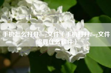 手机怎么打开dwg文件（手机打开dwg文件需要什么软件）