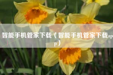 智能手机管家下载（智能手机管家下载app）