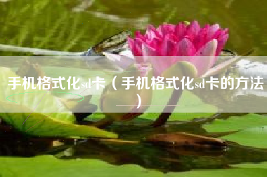 手机格式化sd卡（手机格式化sd卡的方法）
