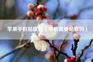 苹果手机贴膜吗（手机需要贴膜吗）