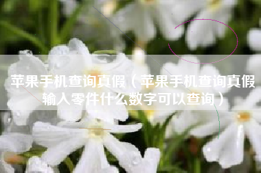 苹果手机查询真假（苹果手机查询真假输入零件什么数字可以查询）